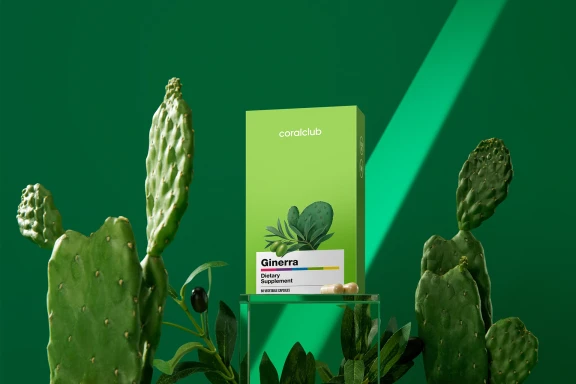 Gi-nerra Frenk İnciri Ekstresi, Zeytin Yaprağı Ekstresi, Meyan Kökü Ekstresi ve L-Glutamin İçeren Takviye Edici Gıda